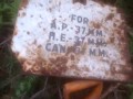 37 mm ammo boxes of m3 stuart tank found in forest