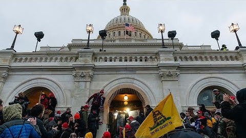 Roger McNamee on Big Tech: We need companies to be held accountable