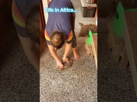 Life in Africa | my morning routine