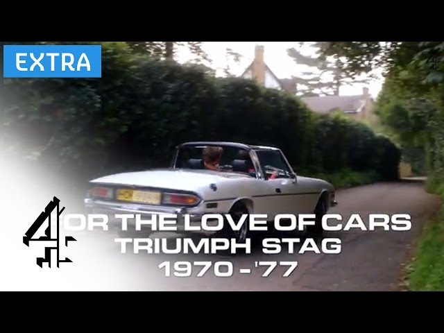 Image of Triumph Stag