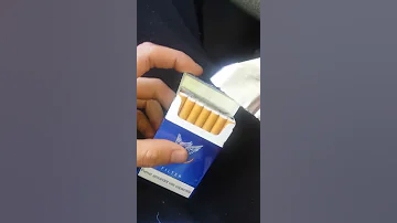 Gauloise Hhhhh 