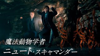 ハリー・ポッター魔法ワールド最新作！ニュートが動物たちとキュートにダンス！？　「ファンタスティック・ビーストとダンブルドアの秘密」＜魔法動物編＞＜最高の魔法編＞