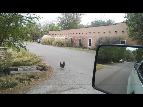 Tularosa, New Mexico / Why Did The Chicken Cross The Road / Divine Mercy Sunday