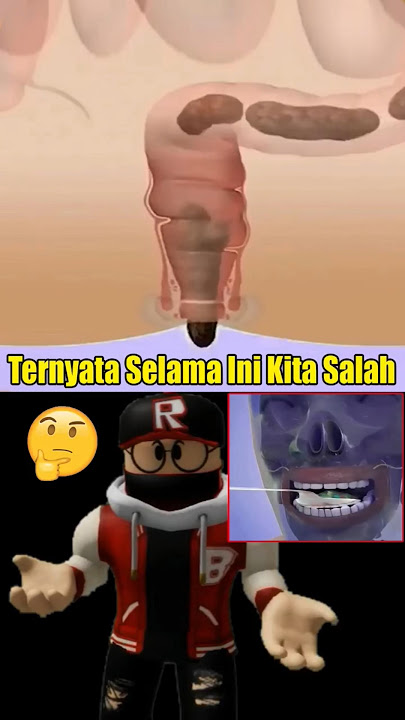Proses Terbentuknya Kotoran Manusia: Dari Makanan Jadi Limbah!
