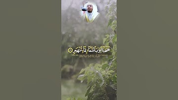 فَدَعَا رَبَّهُ أَنِّي مَغْلُوبٌ فَانْتَصِرْ | تلاوة للشيخ ياسر الدوسري❤️