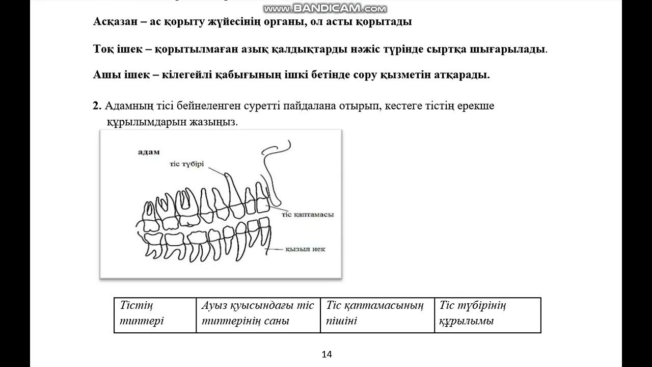 Бжб 8 сынып биология 3