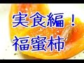 あんぽ柿福蜜柿の実食編！お歳暮干し柿に。富山県南砺市福光町の三社柿。濃厚な味わい深さですよ。Japanese Fukumitukaki Dried persimmon