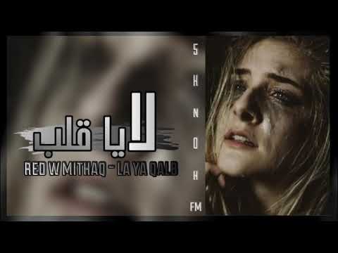 لا يا كلب رعد وميثاق ٢٠١٩ اني العذاب الشفته منه مثله ماشفت