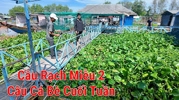 Khám phá địa điểm câu cá giải trí dọc sông Tiền - Cầu Rạch Miễu 2 nhịp An Khánh