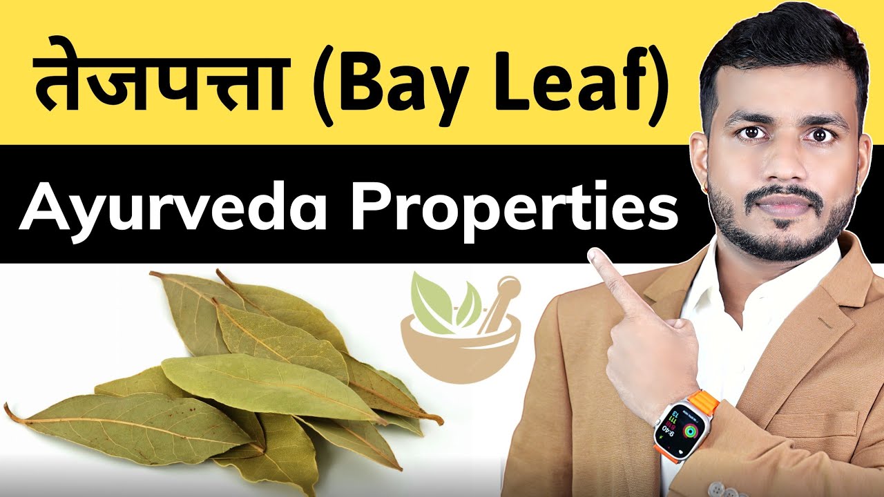 Teji Se Rogo Ko Khatam Karne Wala Tejpatta (तेजपत्ता) Indian Bay Leaf