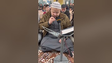 ماتيسر من سورة ابراهيم - ناشد بدران الكلاك