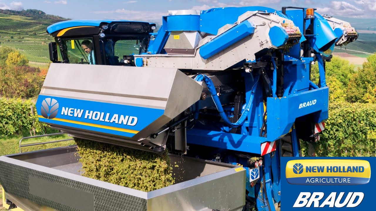 Braud 9000 Traubenvollernter mit Zentralbehälter