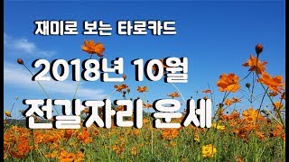 [호수쌤 타로]2018년 10월 전갈자리 운세/타로카드/타로카드운세/재미로보는타로카드