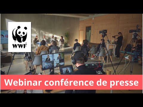 Replay live streaming Paris