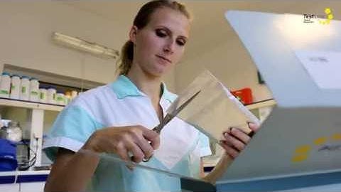 Microblot-Array TestLine