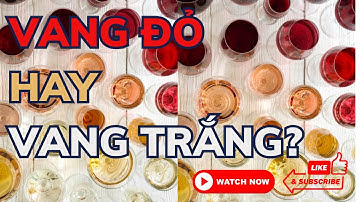 Nên chọn rượu VANG ĐỎ hay rượu VANG TRẮNG | Avino Wines