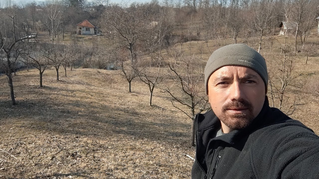 Al doilea an în care curăț această livada de 60 de pomi maturi ,cum am efectuat tăierile 🍎🍏🍐🫐✂️✅