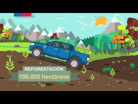 Vídeo: La Evidencia Visual Indiscutible Del Cambio Climático - Matador Network