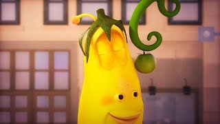 larva growing fruit cartoon movie cartoons for children larva cartoon larva official