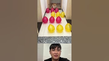 Cạp bể hết luôn khỏi né cho mệt #music #love #song #coversong #singersongwriter #korean #trump #duet