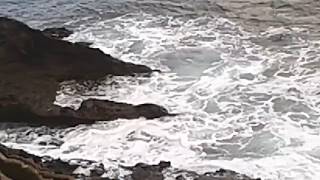 Cantabrian Sea