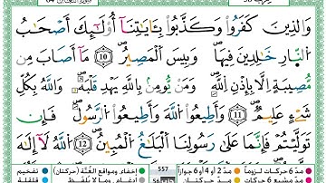 سورة التغابن  مكتوبة للقارئ حمزة الجزائري  بارك الله فيه برواية ورش عن نافع🤍