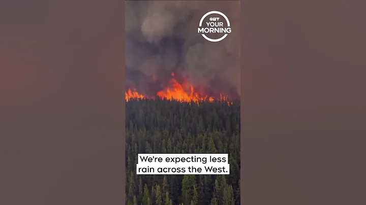 2025 Wildfire Season on Track to be Canada’s Second Worst on Record | Your Morning