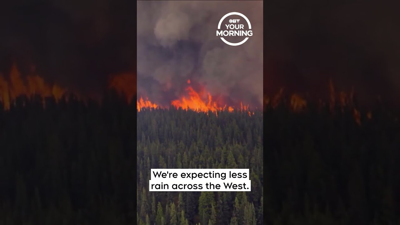 2025 Wildfire Season On Track To Be Canada S Second Worst Record Your Morning