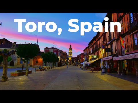 Toro - A relatively unknown gem in the heart of Spain