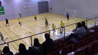 Balonmano Edgar (escaleritas vs rocasa) Parte 1