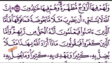 الورد اليومى 4 ايات من الذكر الحكيم من سورة البقرة