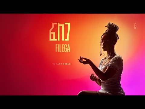 FILEGA Official Track Visualizer