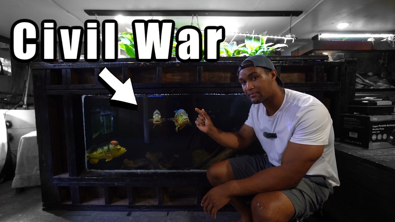 What happens next after losing my biggest fish...