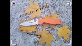 :     Ganzo G734 Orange