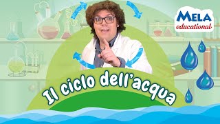 Il ciclo dell'acqua - Renato lo scienziato Educational @Mela_Educational