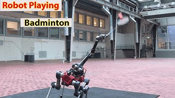 Humanoid Robot Playing Badminton
