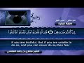 Surah Al-Baqarah – Mishary Rashid Al-Afasy (2006)