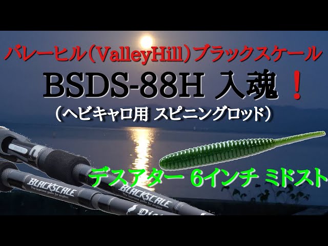 取り置き‼︎バレーヒル　ディスタンスエディション　BSDS-88Hこちらは大阪の枚方なのですが