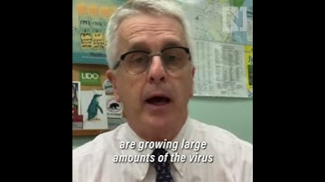 Covid-19 origins study says laboratory leak is a low possibility