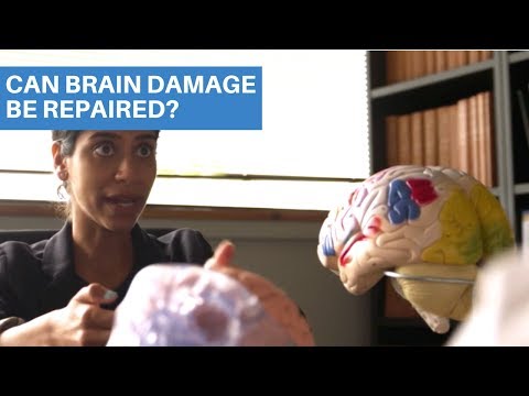 Can Brain Damage