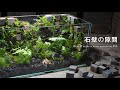 石壁の隙間に生える苔のテラリウム｜How to make a moss terrarium #25