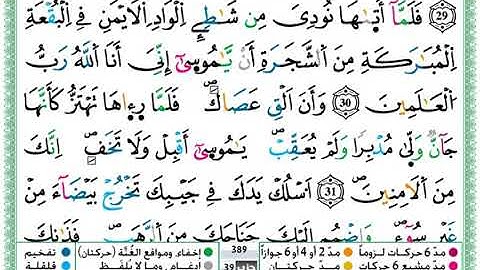 سورة القصص مكتوبة برواية ورش عن نافع حمزة الجزائري