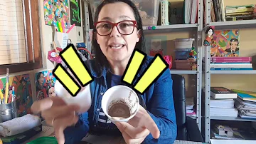 O que significa a pintura rupestre da Toca do Pajau?