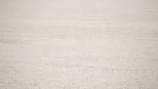 Vintage Solid Kilim In Beige And Cream Tones - Rug & Kilim - 33136