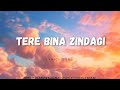 Tere Bina Zindagi - SAHIL ALI (LYRICS SONG) Love Song