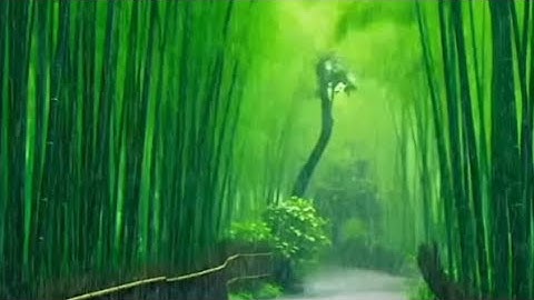 دعاء لراحة البال #لايك #explore #استغفار #دين #اذكار #رزق #اسلام #foryou #viralvideo #دعاء#رائج#قرآن