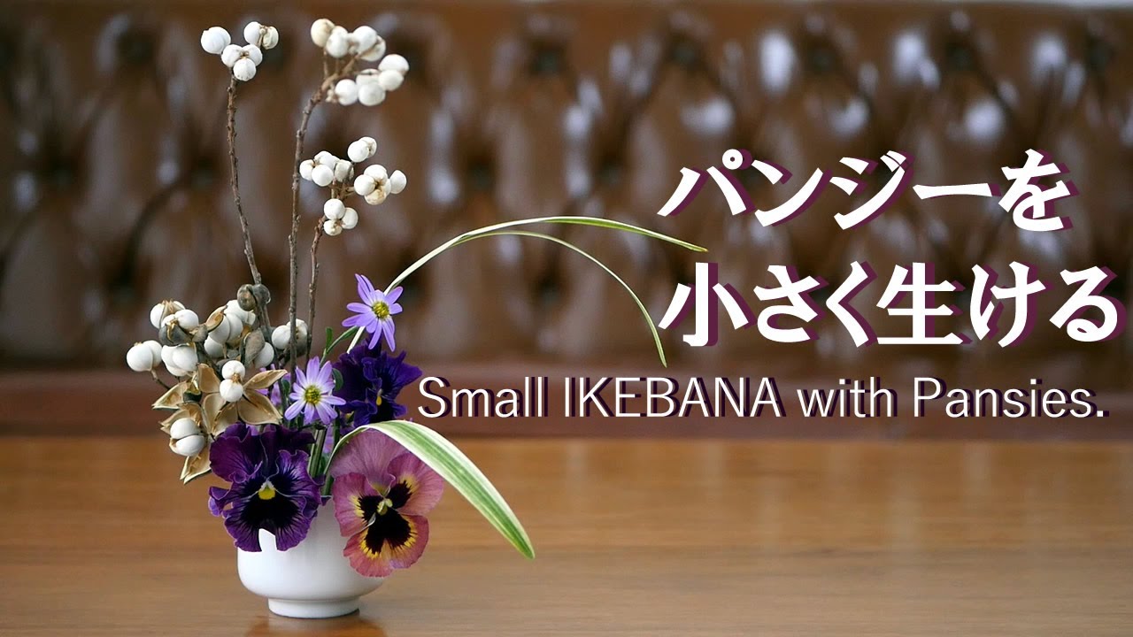 生け花 冬花壇の定番 パンジーを生ける Ikebana 南京櫨 野菊 Small Ikebana With Pansies 紫羅蘭小花籃 Petit Ikebana Avec Des Pensees Youtube