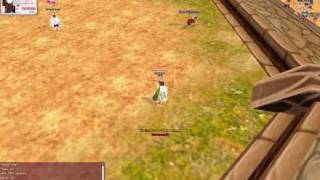 Flyff- Yoyo Jester. PVP - speedbreak