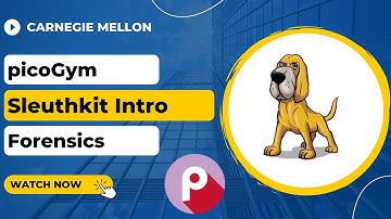 picoGym (picoCTF) Exercise: Sleuthkit Intro