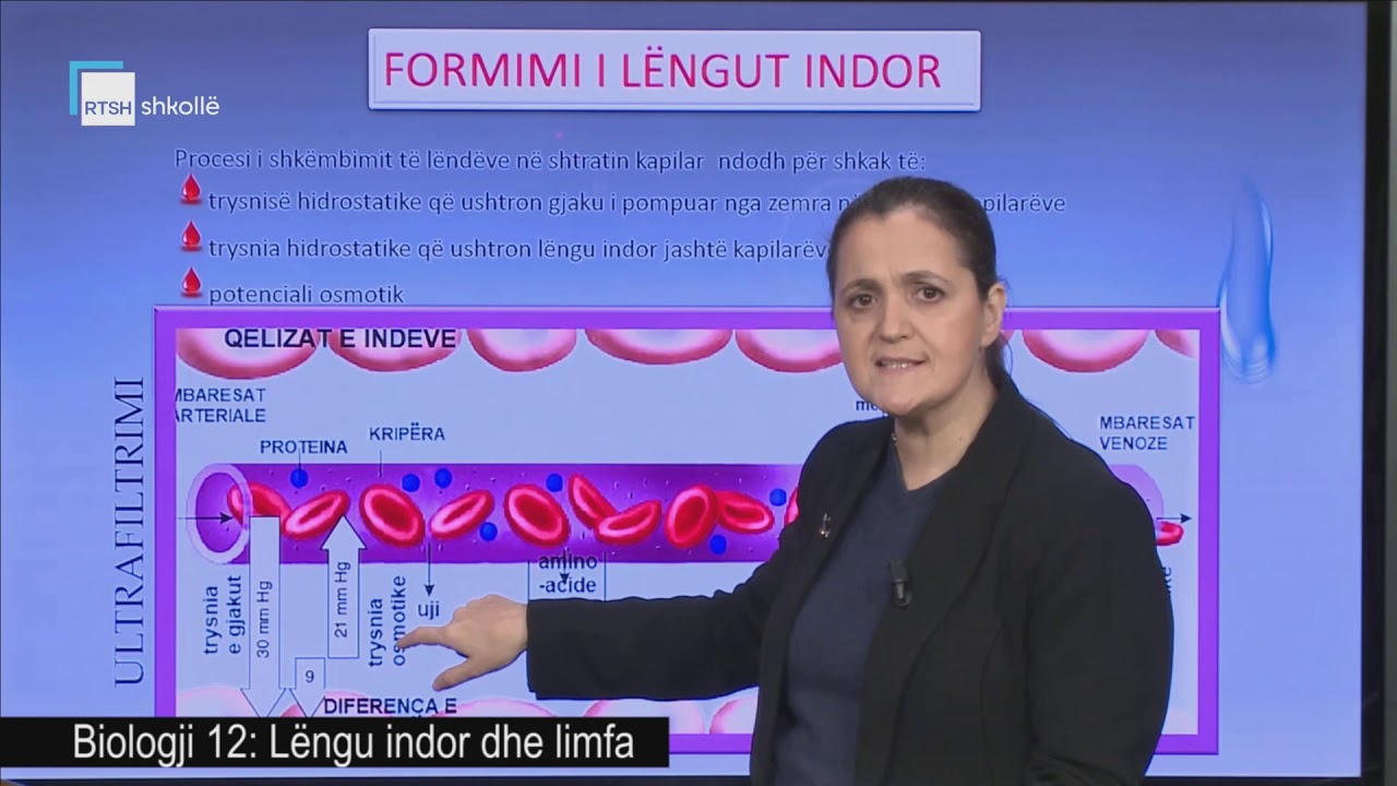 Biologji 12 - Lëngu indor dhe limfa